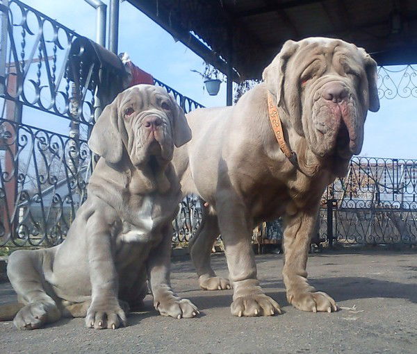 Виктория Калугина