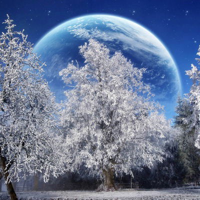 Виолетта Князева