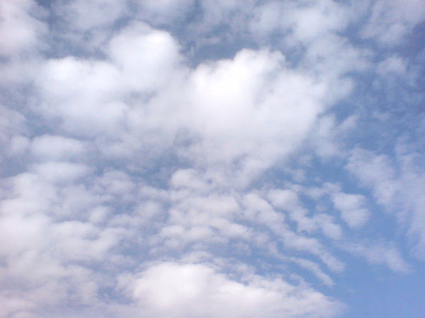 Фатима Нурлиева