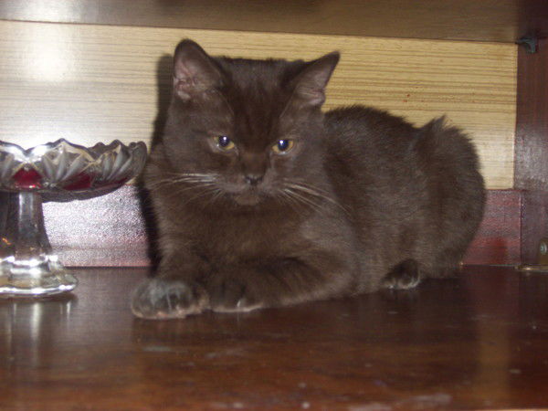 Полина Белякова