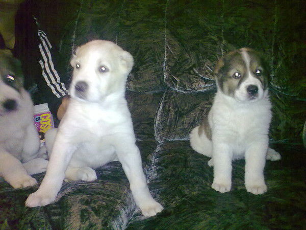 Мария Хребина