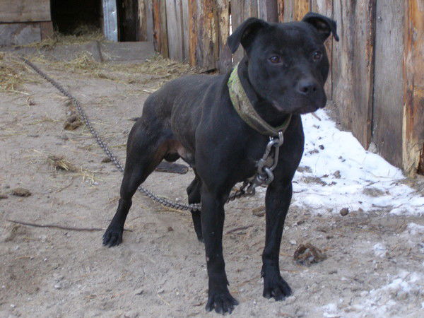 Алексей Гамов