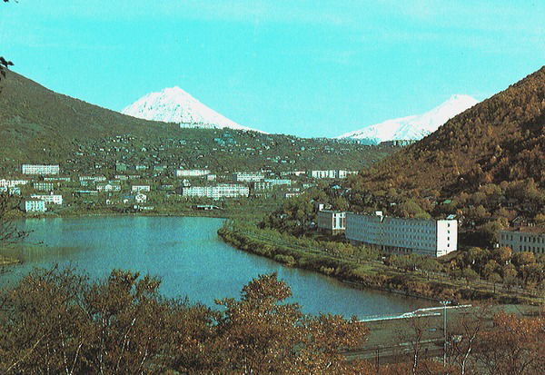 Елена Овдиенко