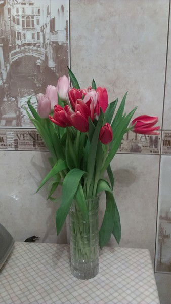 Виктор Солянский