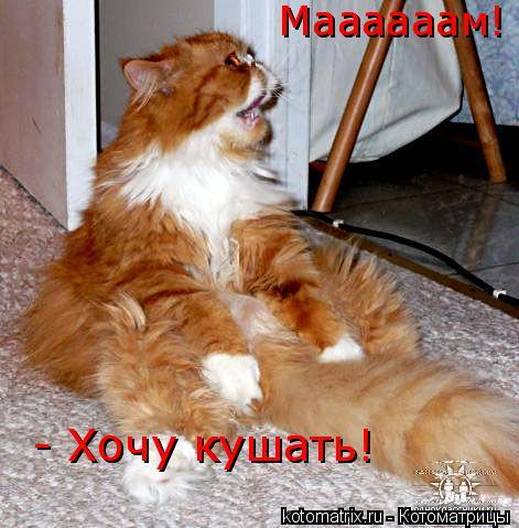 Гном Гномовой