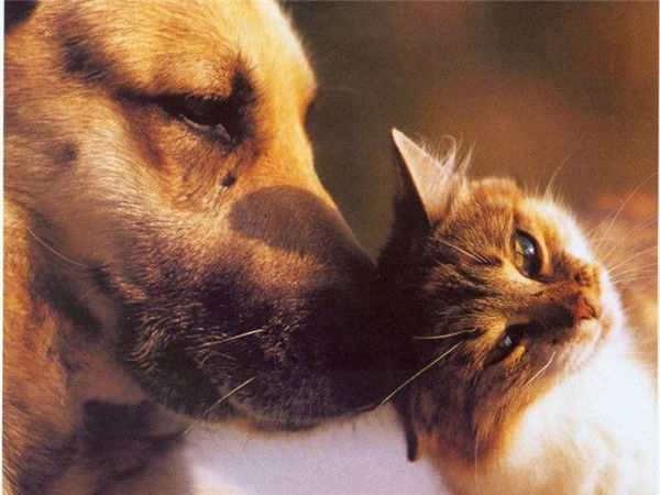 Лизунька Красунька