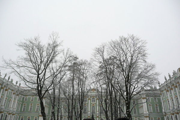 Светлана Шевелева