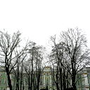 Светлана Шевелева