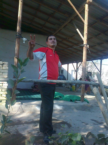 Волк Лесник