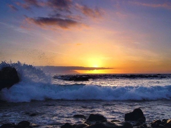 Елена Щербинина