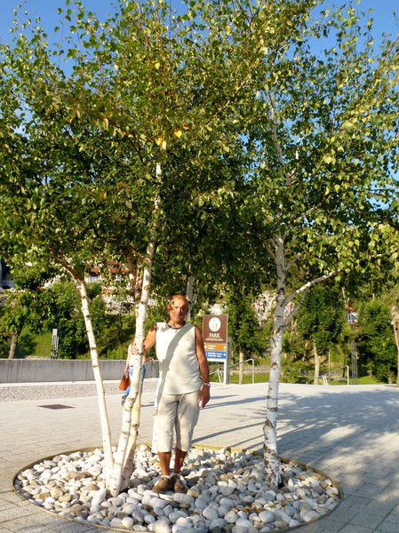 Василий Янцен