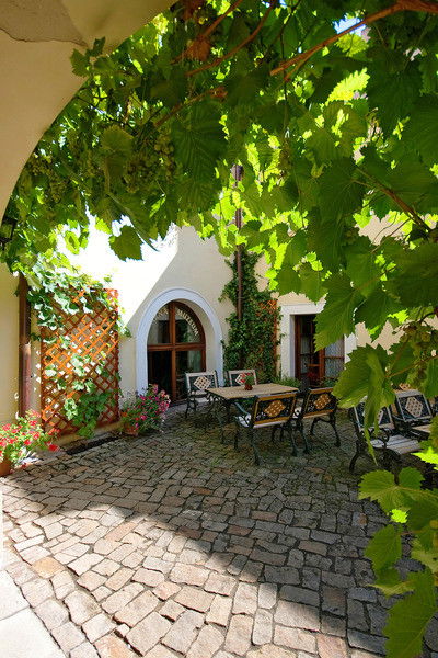 София Егоричева