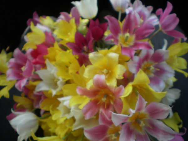 Ирина Артемьева