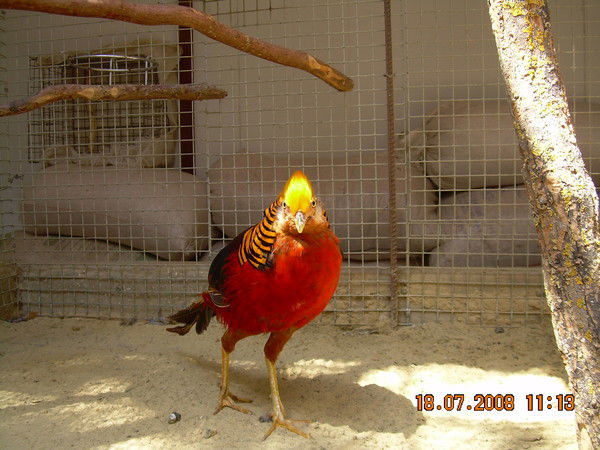 Лидия Суханова