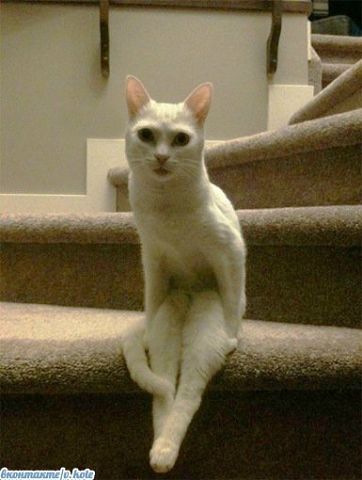 Наталья Матвиенко