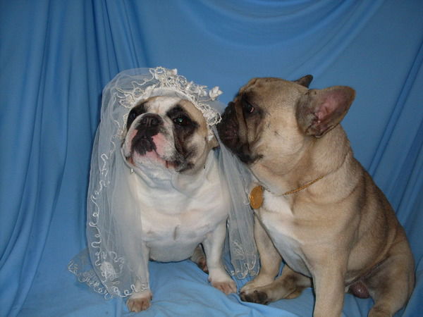 Инна Скробат