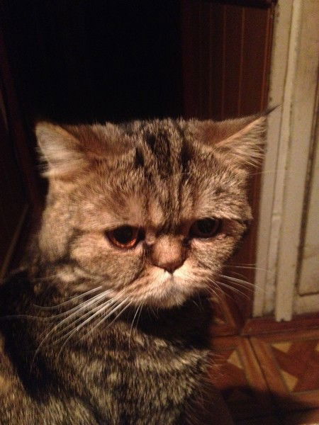 Инна Урусова