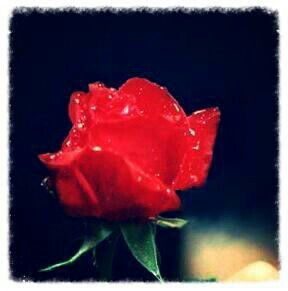 Маленький Bad Boy