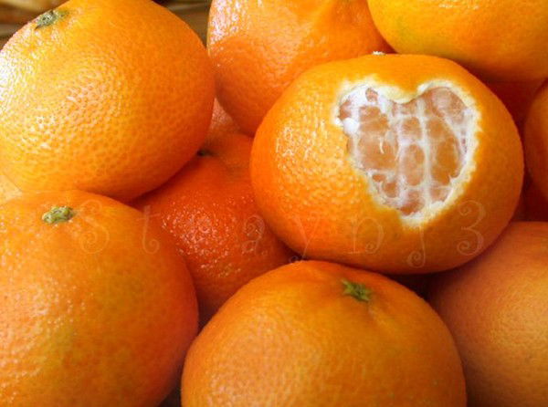 Venera Chabibrahmanova