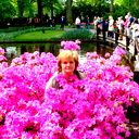 Elvira Bosche