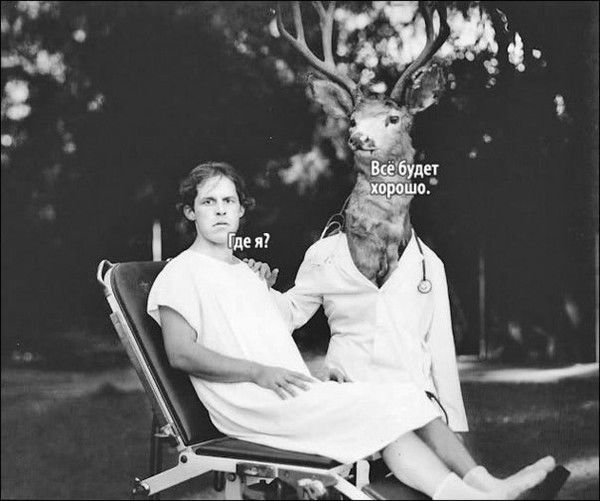 Денис Некрасов