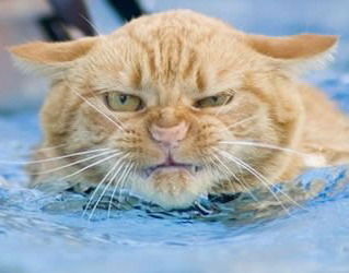 Татьяна Лапина (Крайняя)