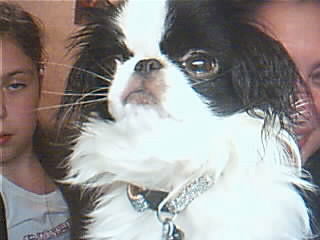 Любовь Евстафьева