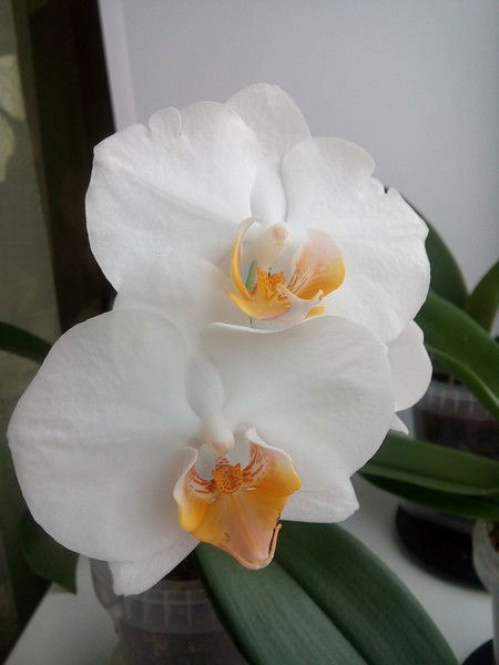 Татьяна Габдрахманова