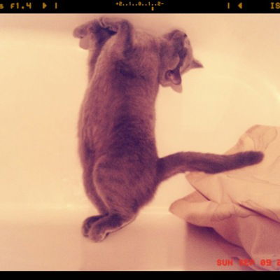 Александр Вовчук