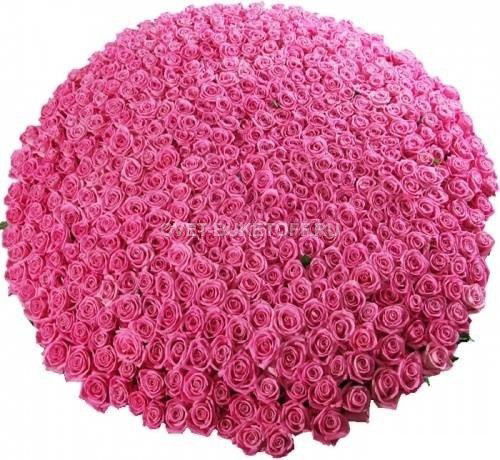 Алёна Иванюк