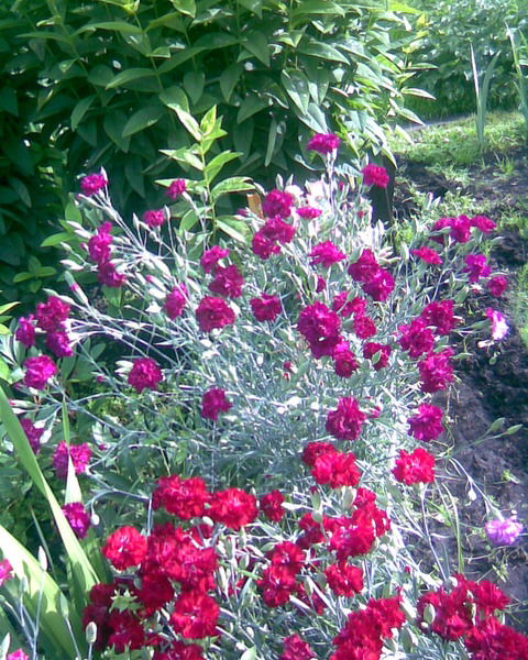 Сергей Клементьев