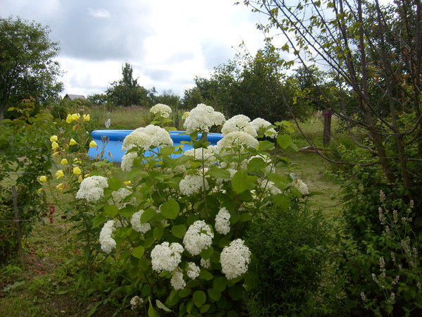 Татьяна Рогова