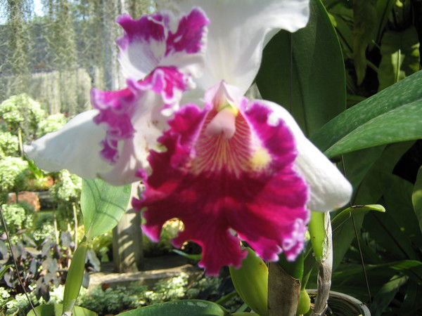 Ольга Тагильцева