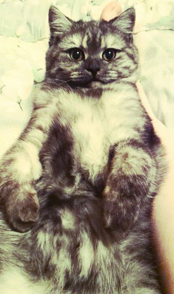 Katerina Иванцова