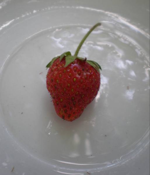 Наталья Копытина