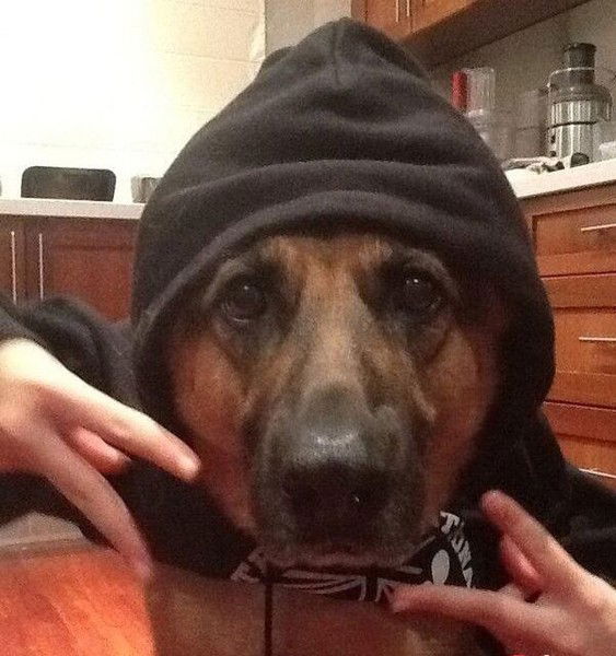 Семён Биденко