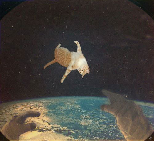 Андрей Смагин