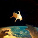 Андрей Смагин