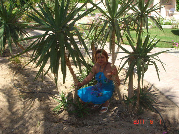 Дилёк Степанова