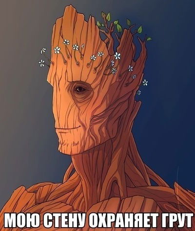 Елизавета Кармазина