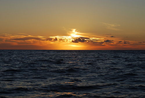 Cветлана Щербинина