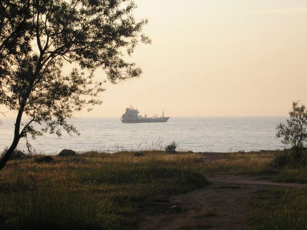 Степан Ясеницкий