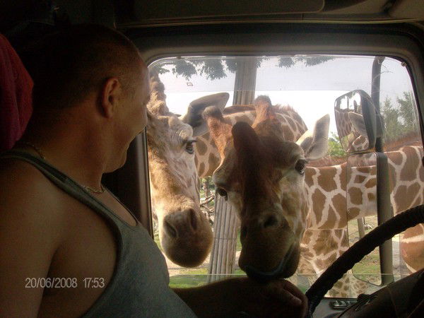 Владимир Белышев