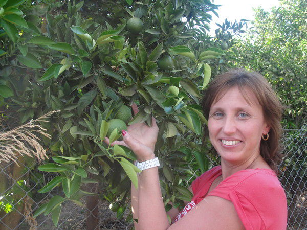 Светлана Богомолова