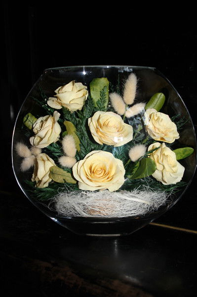 Анастасия Подольская