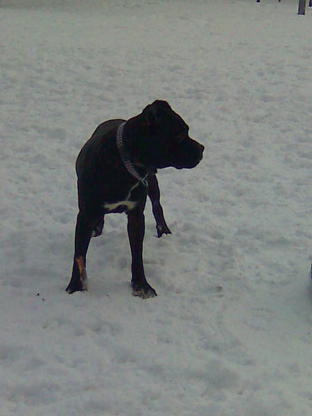 Наталья Ромашина