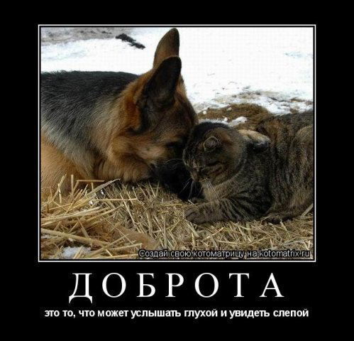 Акслу*** Нуржанова**