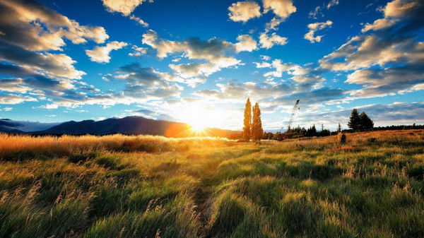 Оксана Климова