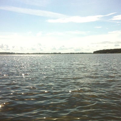 Дима Дмитриев