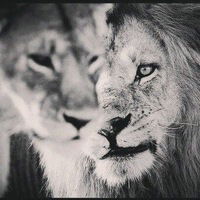 Никита Катков